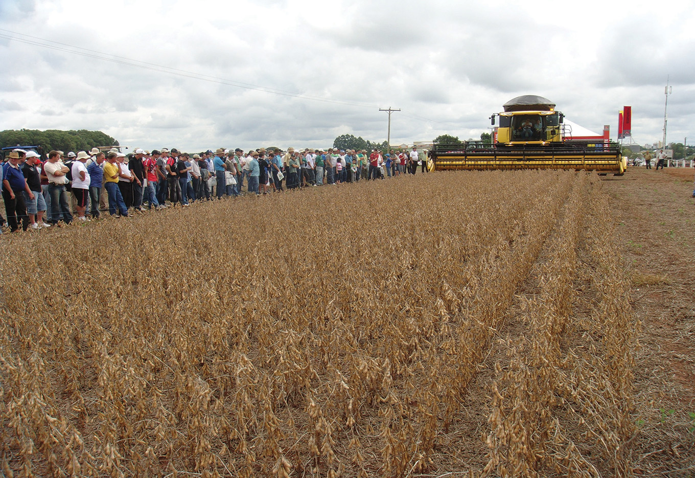 Promoção e posicionamento de produtos, equipamentos e processos