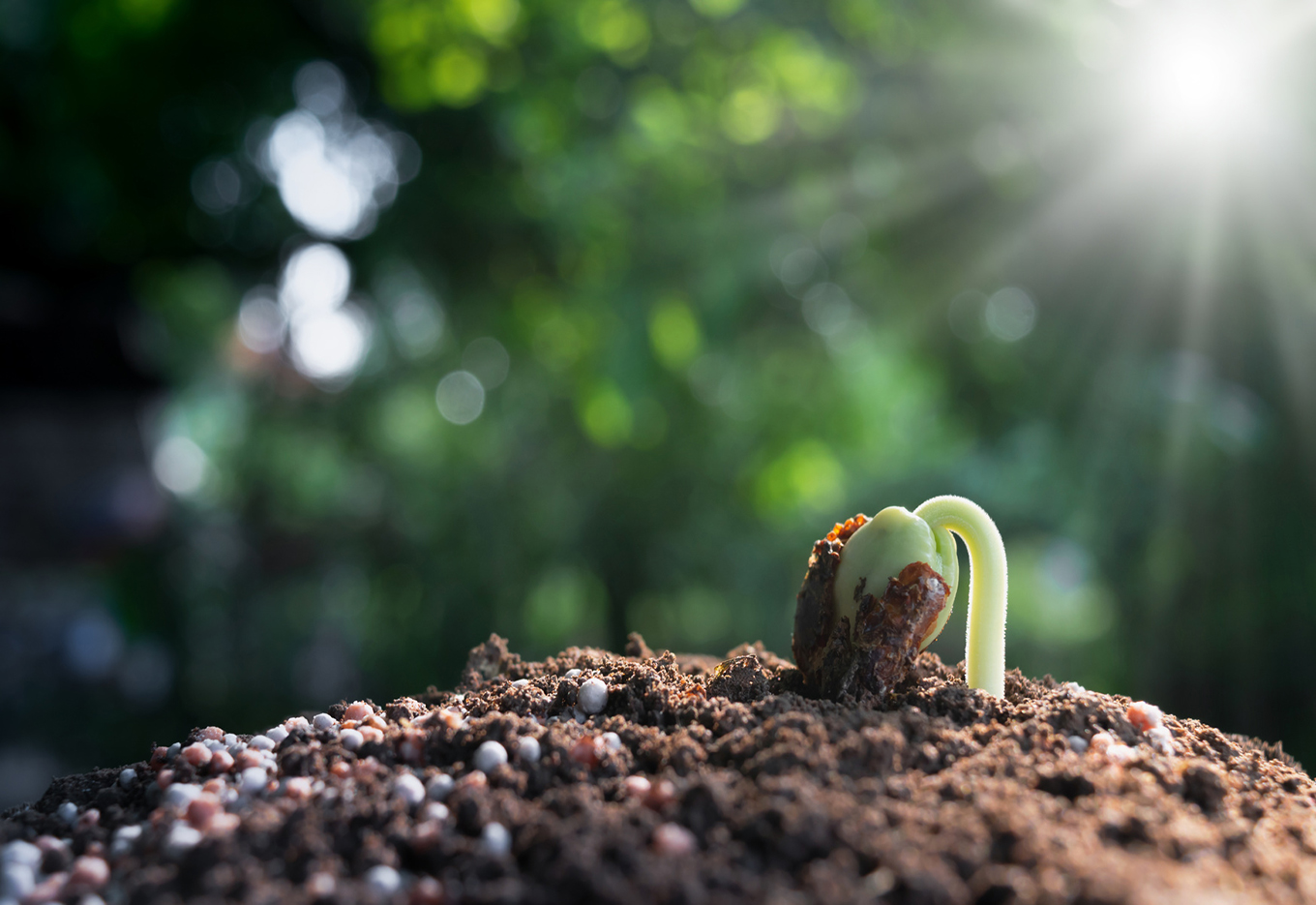 Adubando com Precisão