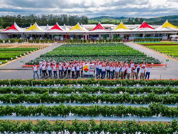 Sakata Field Day 2023 apresenta as últimas tendências em horticultura para a América do Sul
