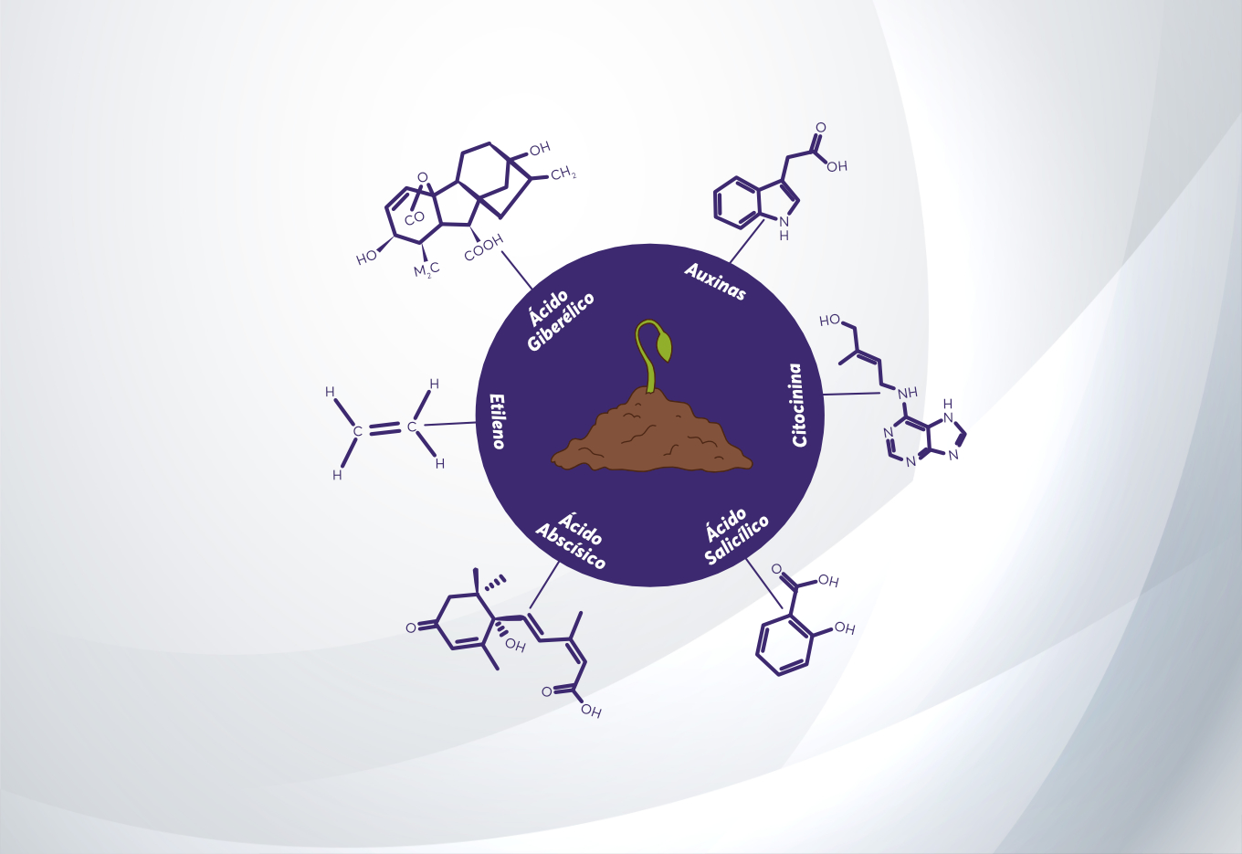 Hormônios e sementes: o  que sabemos até hoje e quais seus potenciais usos na prática