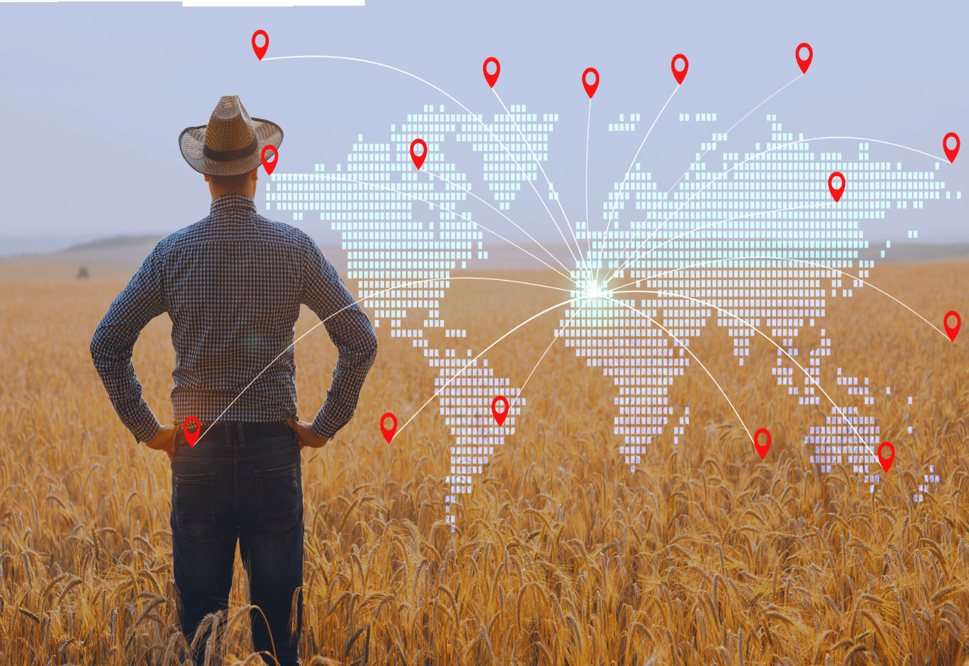 O comércio de sementes continua a crescer por todo o mundo