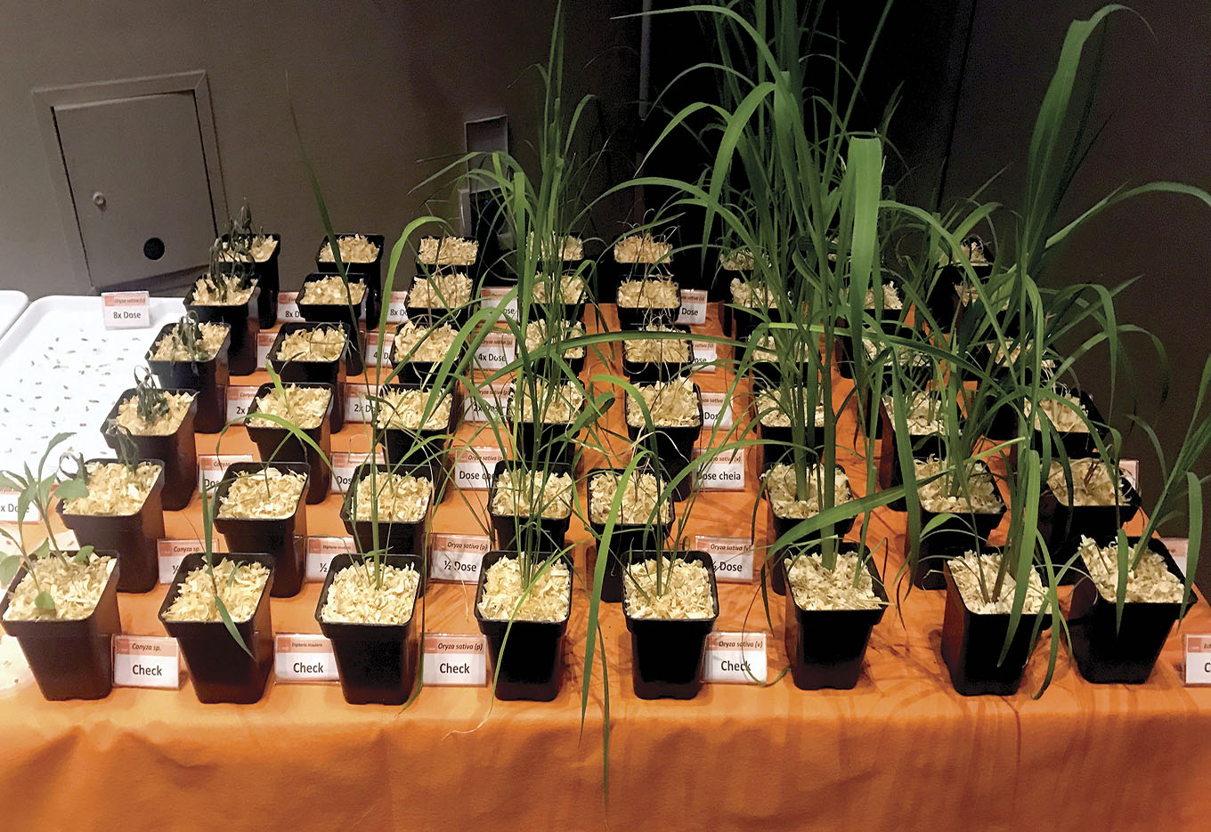 Top Ciência: Enfoque integrado para as soluções agronômicas