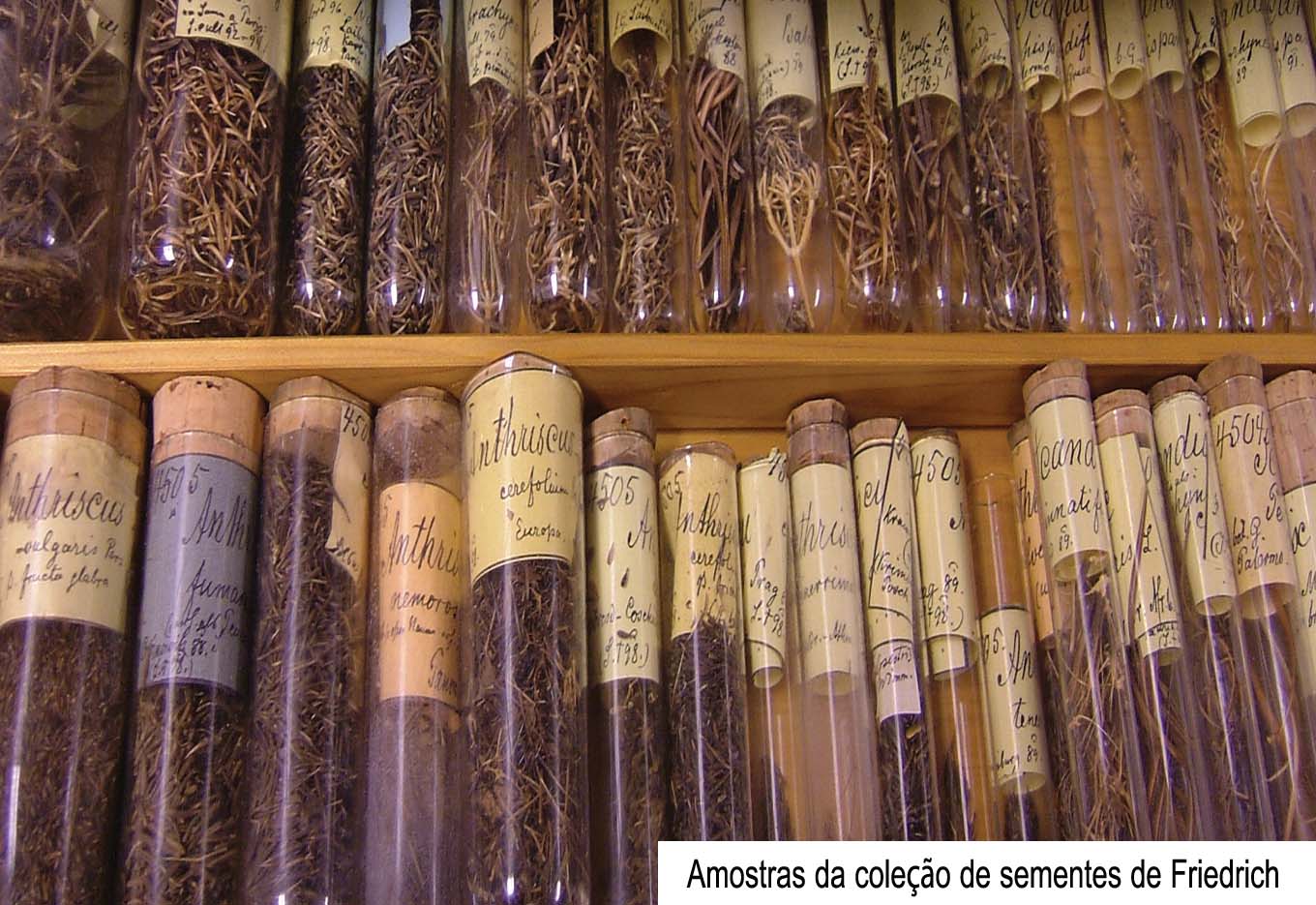 150 anos de testes em sementes