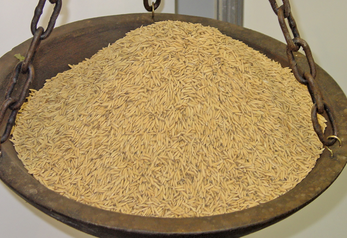 O negócio de arroz no Brasil