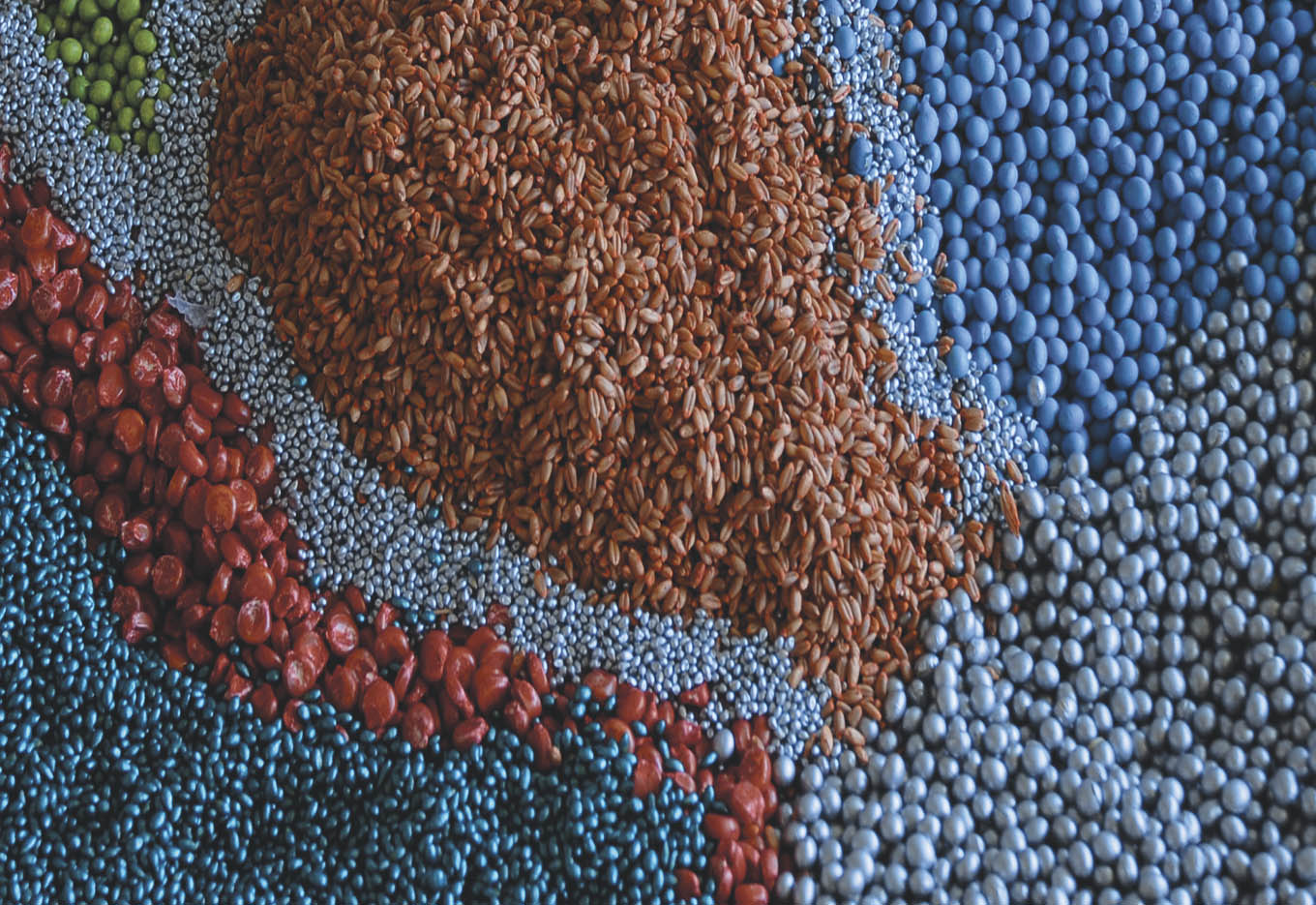 FILM COATING no Recobrimento das Sementes