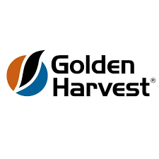 Syngenta Seeds lança marca Golden Harvest no Brasil