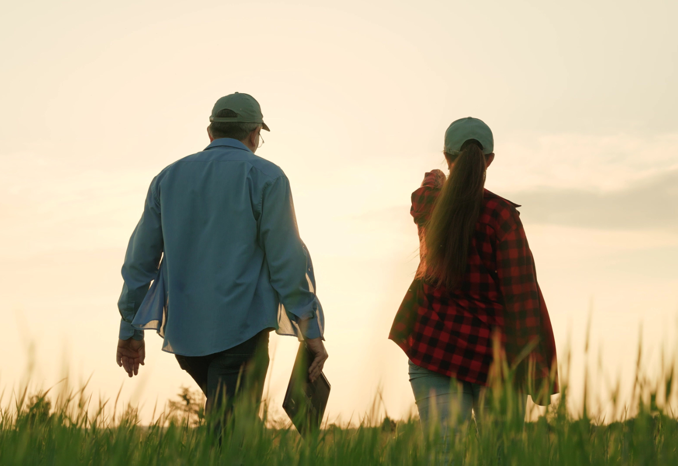 Subsídios e crédito rural no Brasil e no mundo