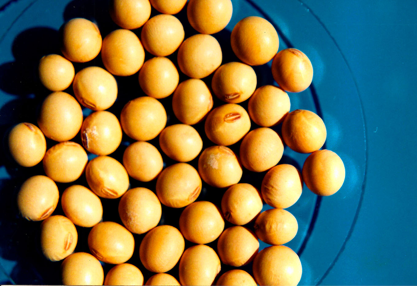 Surge nova opção para controlar ervas