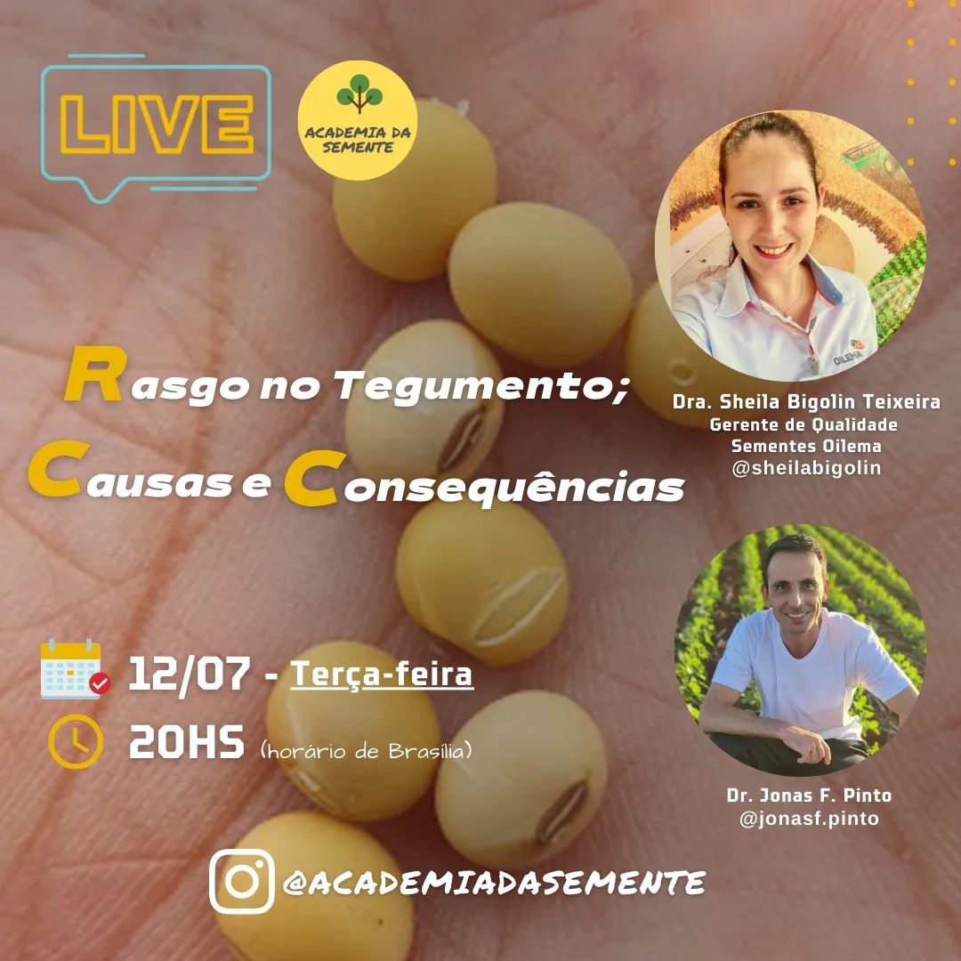 Rasgo no tegumento de sementes de soja é tema de live da Academia da Semente