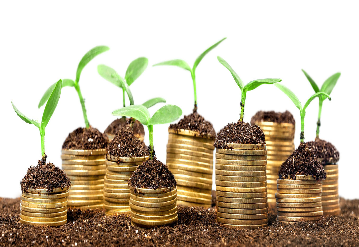 A Semente é um Bom Negócio