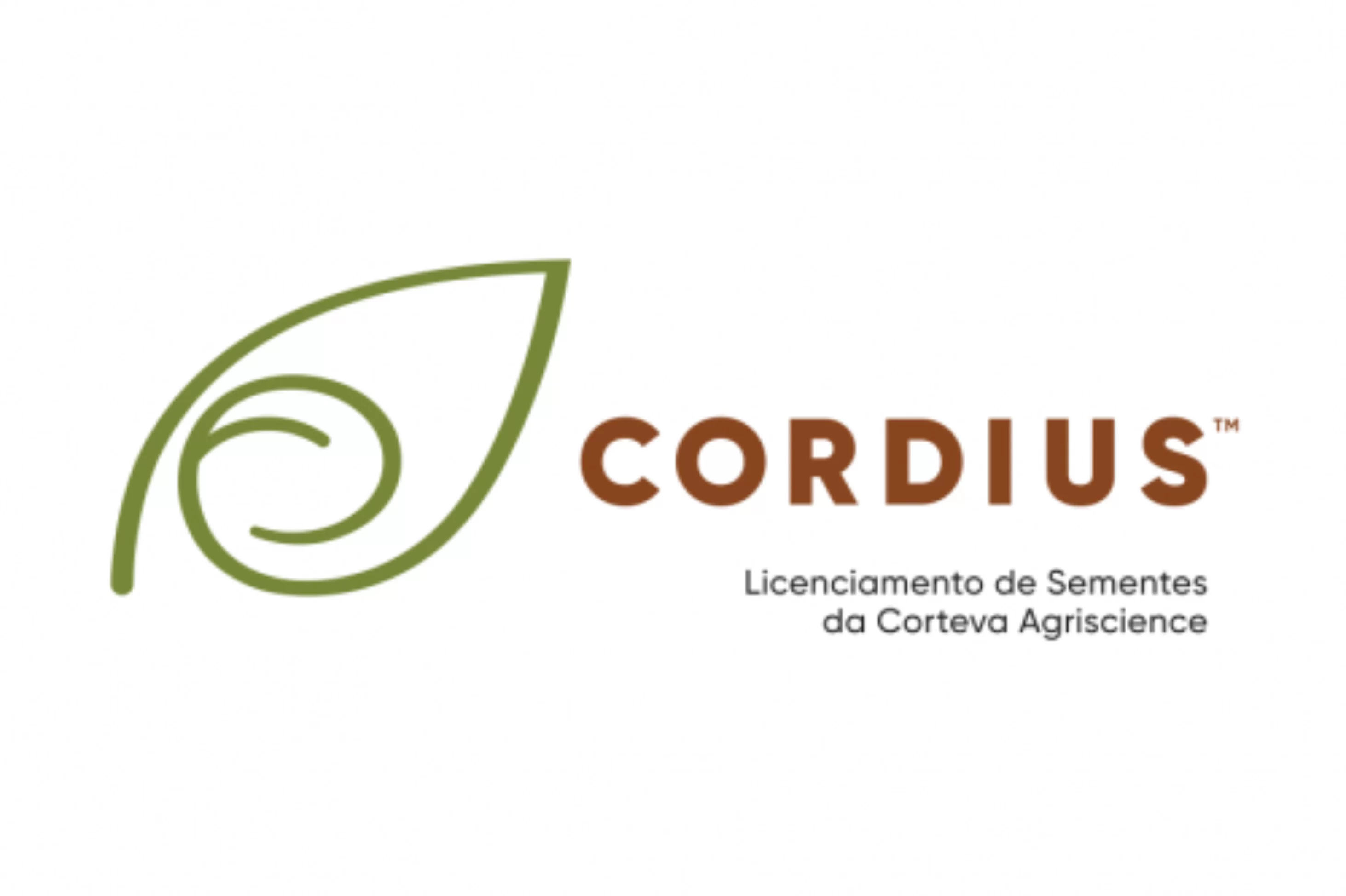 Cordius celebra 4 anos no mercado Cordius celebra 4 anos no mercado