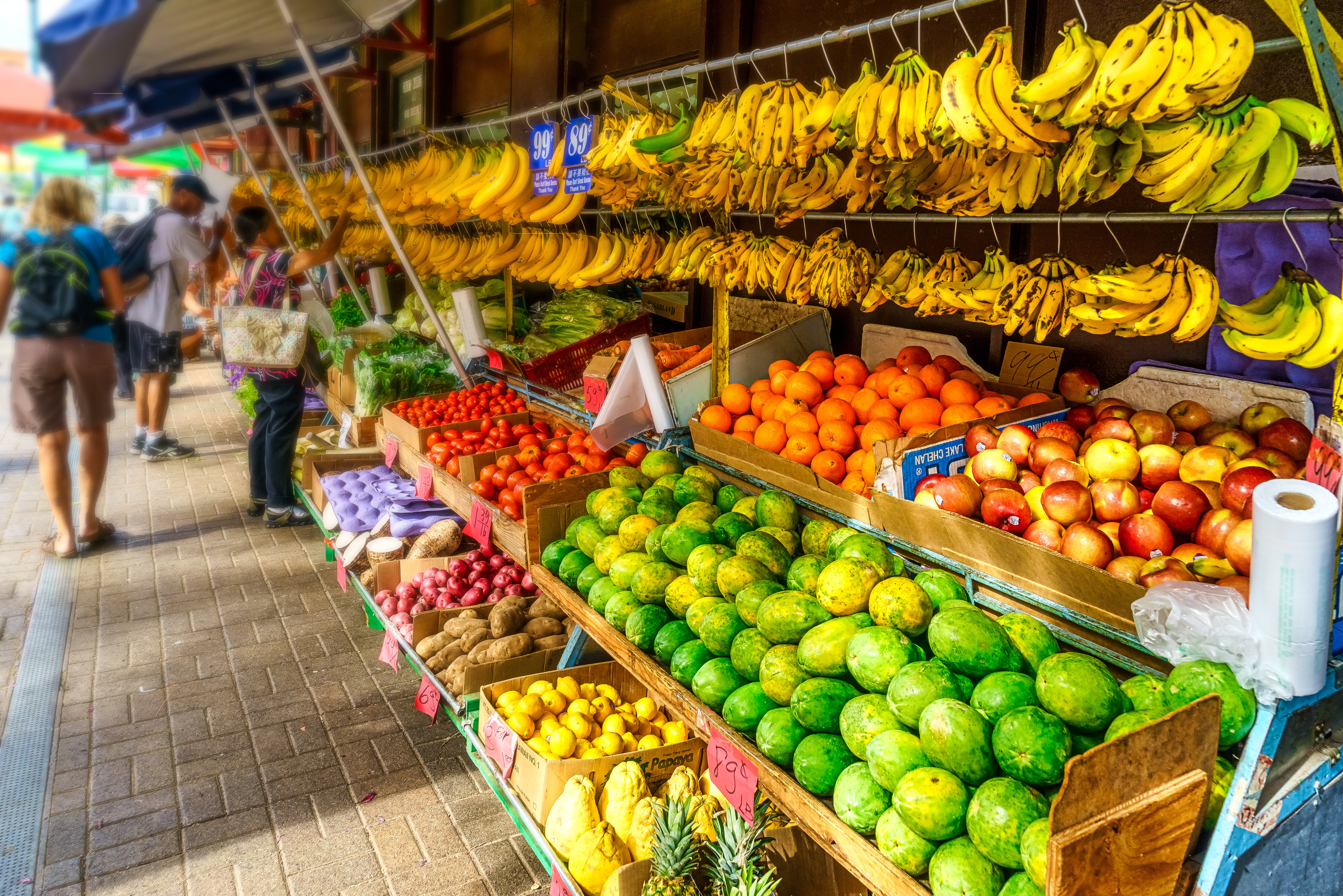 IA e edição genética unem forças para reduzir o desperdício de frutas e vegetais no mundo IA e edição genética unem forças para reduzir o desperdício de frutas e vegetais no mundo